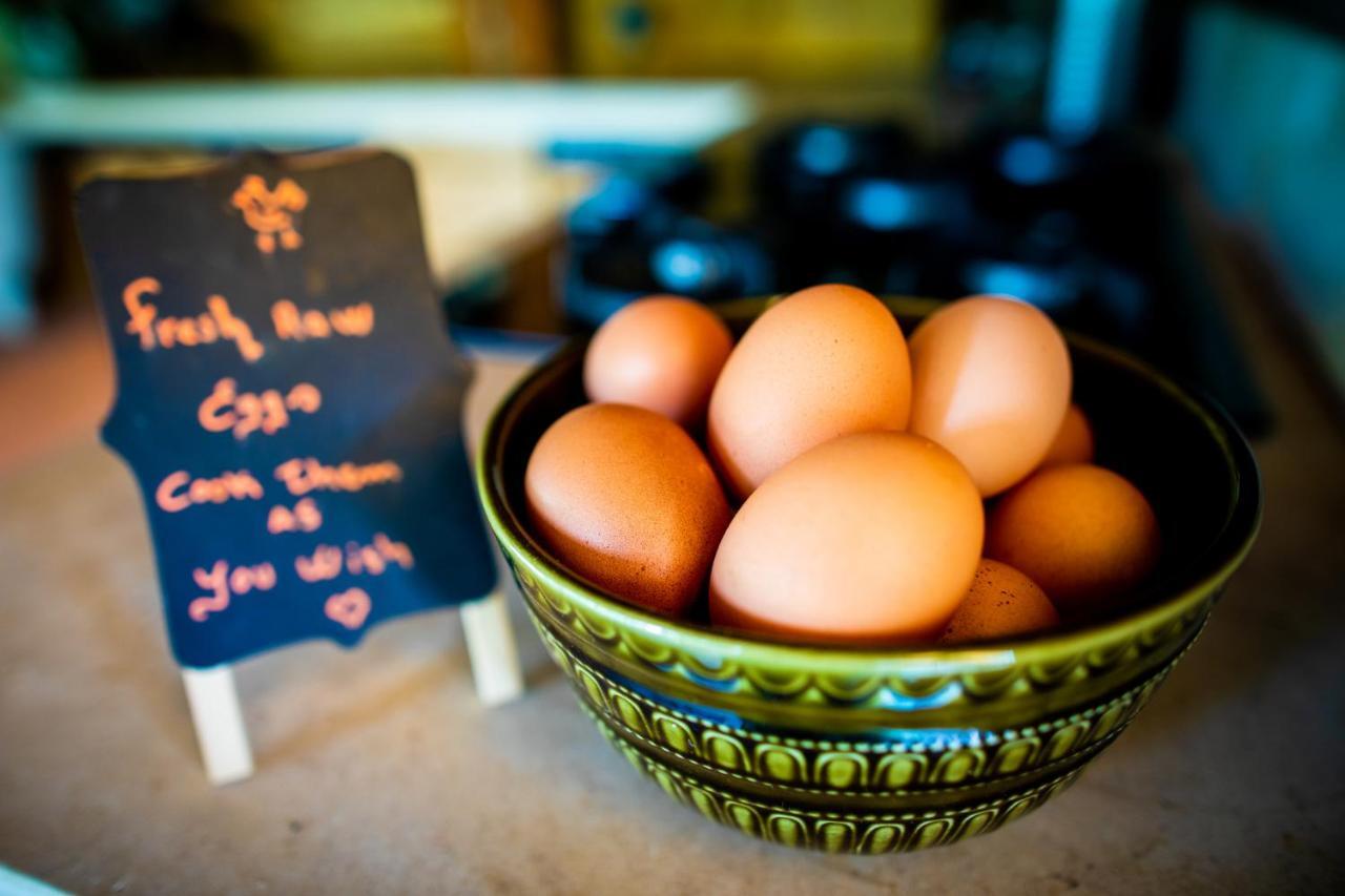 Hotel Quinta Alma - Ecological Retreat Farm Aljezur Zewnętrze zdjęcie
