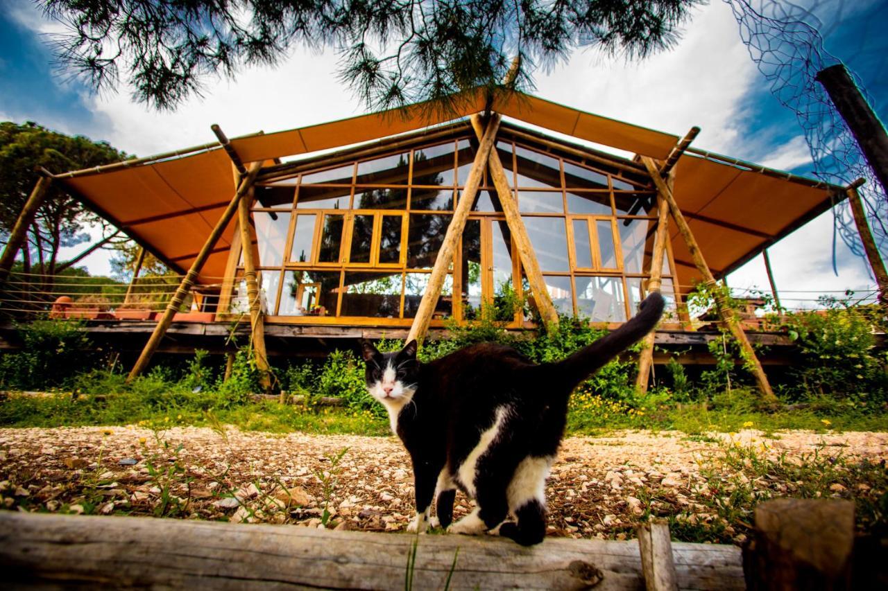 Hotel Quinta Alma - Ecological Retreat Farm Aljezur Zewnętrze zdjęcie